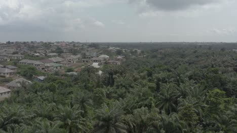 dron de revelación de la ciudad