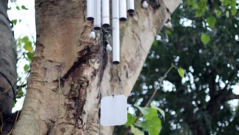 wind chimes hanging from a tree branch