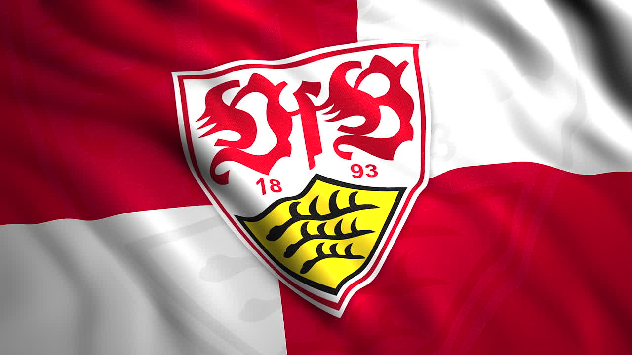 bandera de la ciudad de friburgo