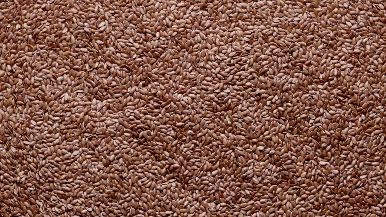 원형으로 회전하는 원시 라인 씨 그룹