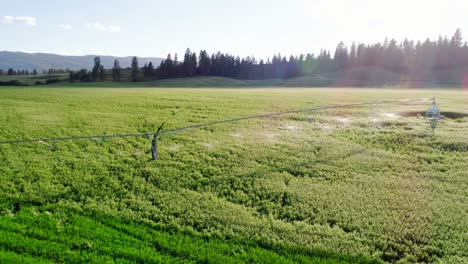 Irrigation-of-green-crops-4k