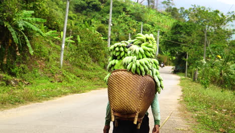 indigenous walking with basket of bananas on his shoulders on a road in the forest