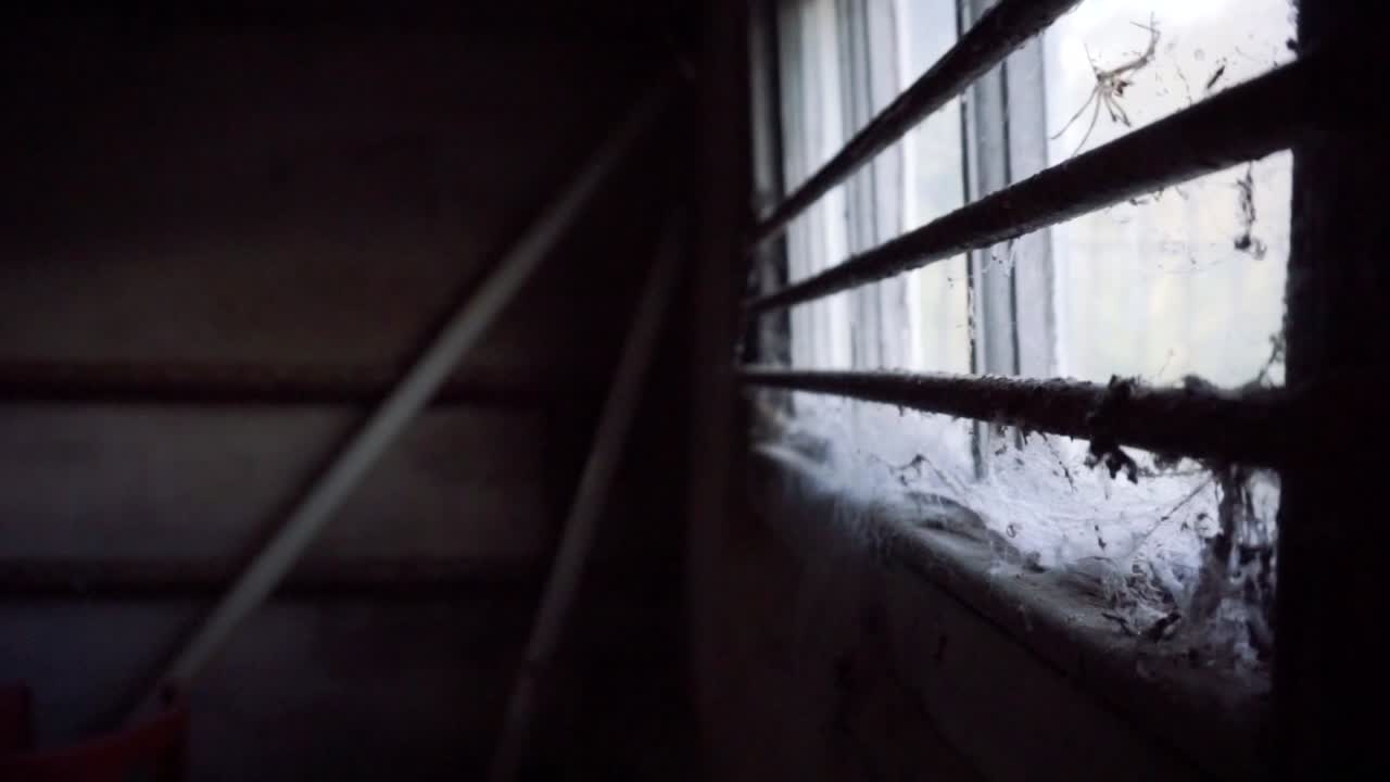 버려진 저장 용기에 있는 으스스한 거미줄의 여전히 결함 있는 뒤틀림