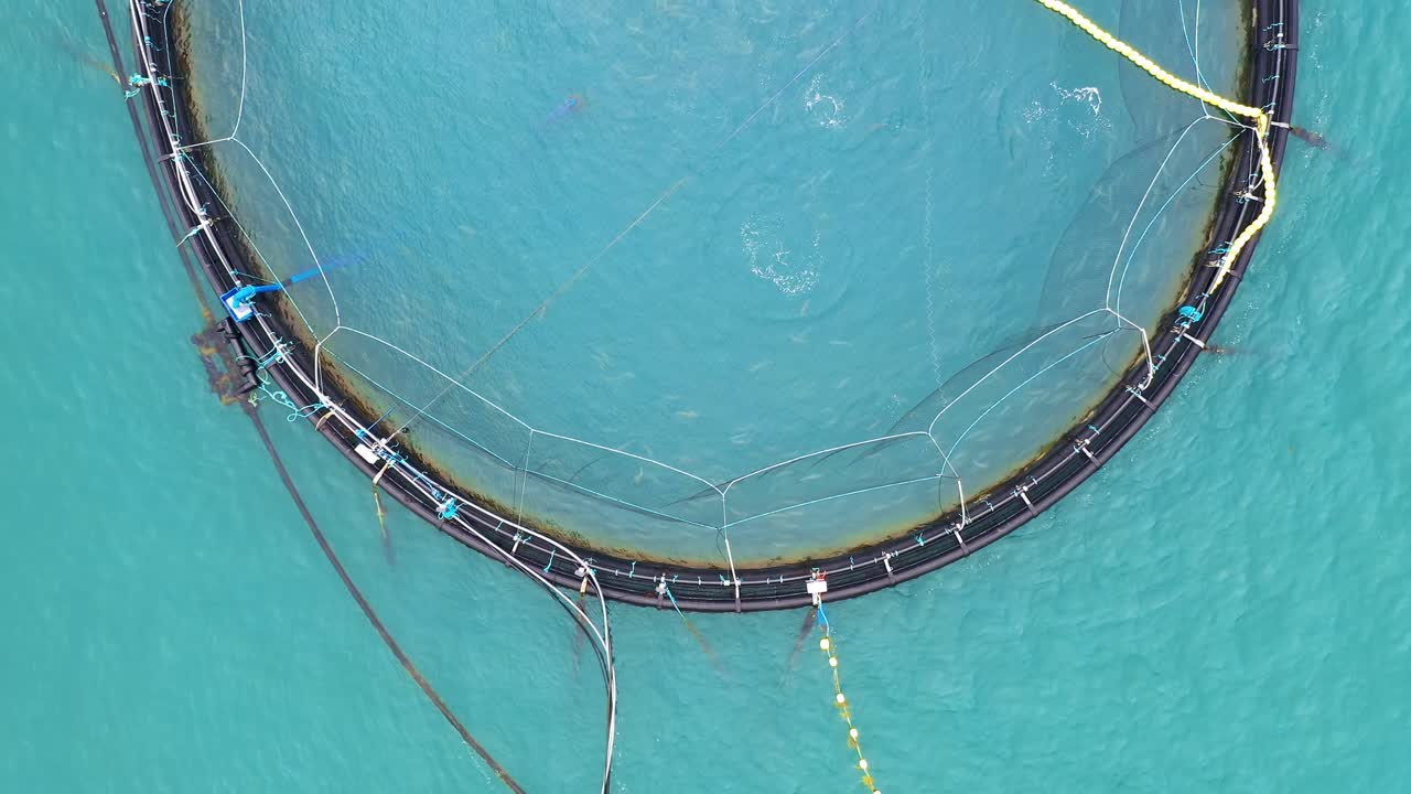 노르웨이에서 연어  ⁇ 시를 하는 공중 촬영