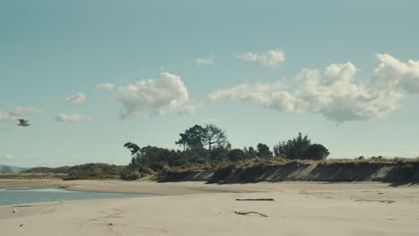 Sandstrand-Auf-Der-Insel-Whakatane-Mit-Einer-Fliegenden-Möwe