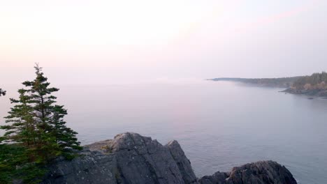 Breathtaking-Push-Through-Trees-Reveals-Foggy-Morning-Ocean-on-Maine-Coast