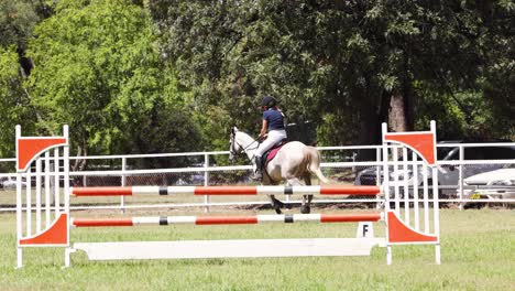 horse and rider jumping over obstacles