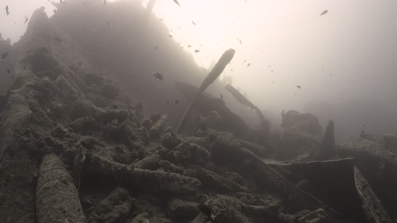 Fish swimming between the wreckage of a sunken ship in 4k
