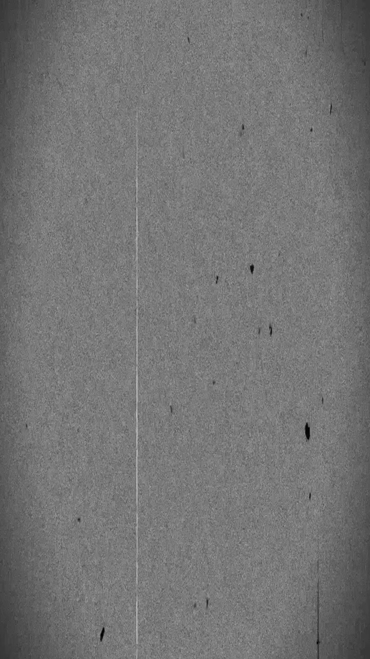 Vintage Film Grain Overlay with Scratches and Dust