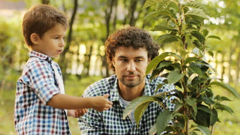 primer plano. retrato de un niño y su padre plantando un árbol. el niño le dice algo a su padre, el padre responde. el niño toca las hojas. fondo borroso