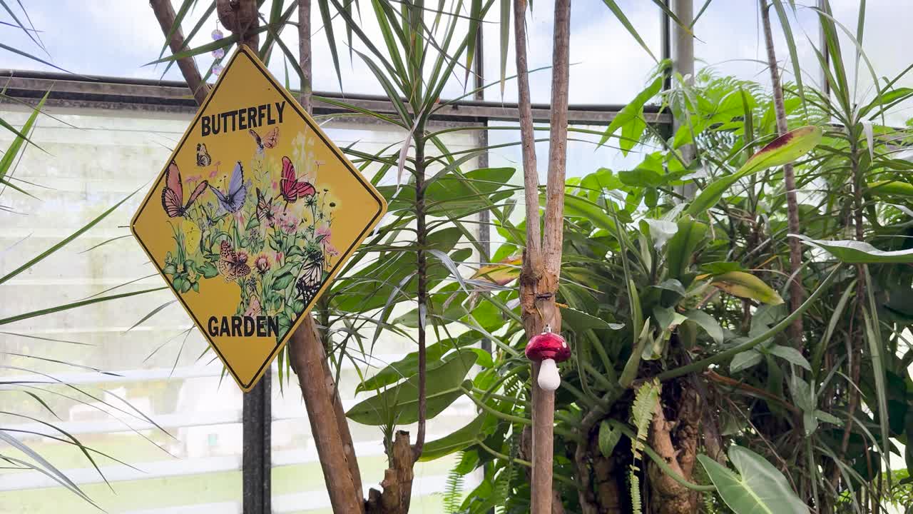 Camera smoothly pans past colorful butterfly garden sign amid tropical plants in bright greenhouse