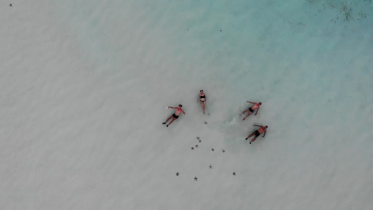 4K aerial rising shot of four people swimming on their backs near the beach surrounded by star fish