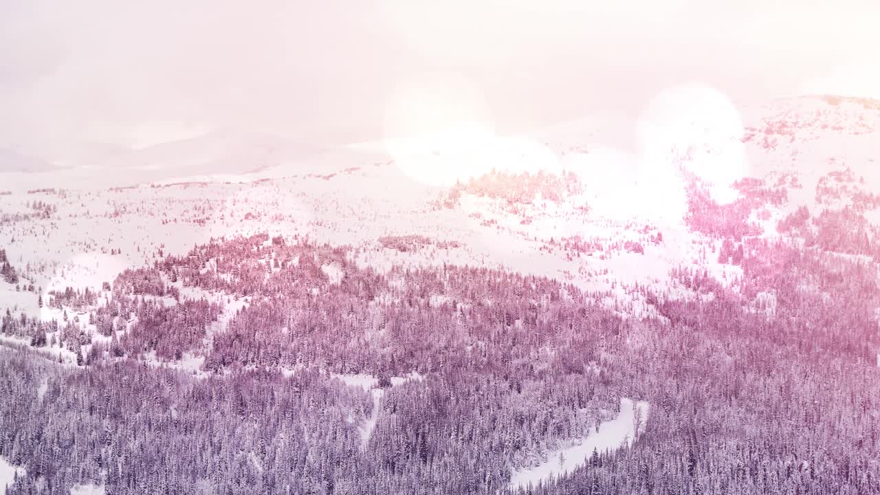 눈으로  ⁇ 인 산과 소나무와 함께 밝은 반점이 있는 겨울 풍경 풍경의 애니메이션