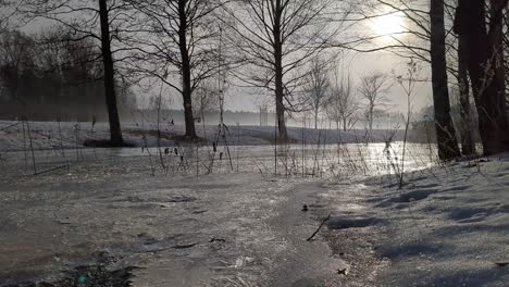 Verträumte-Winterlandschaft,-Neblige-Landschaft-Mit-Gefrorenem-Bach