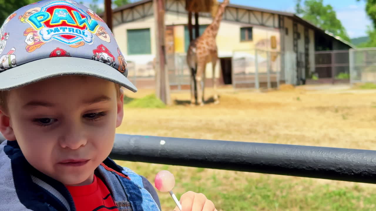 Giraffe at a feeding station in a zoo. A giraffe enjoys food from a hanging feeder near a zoo structure on a sunny day