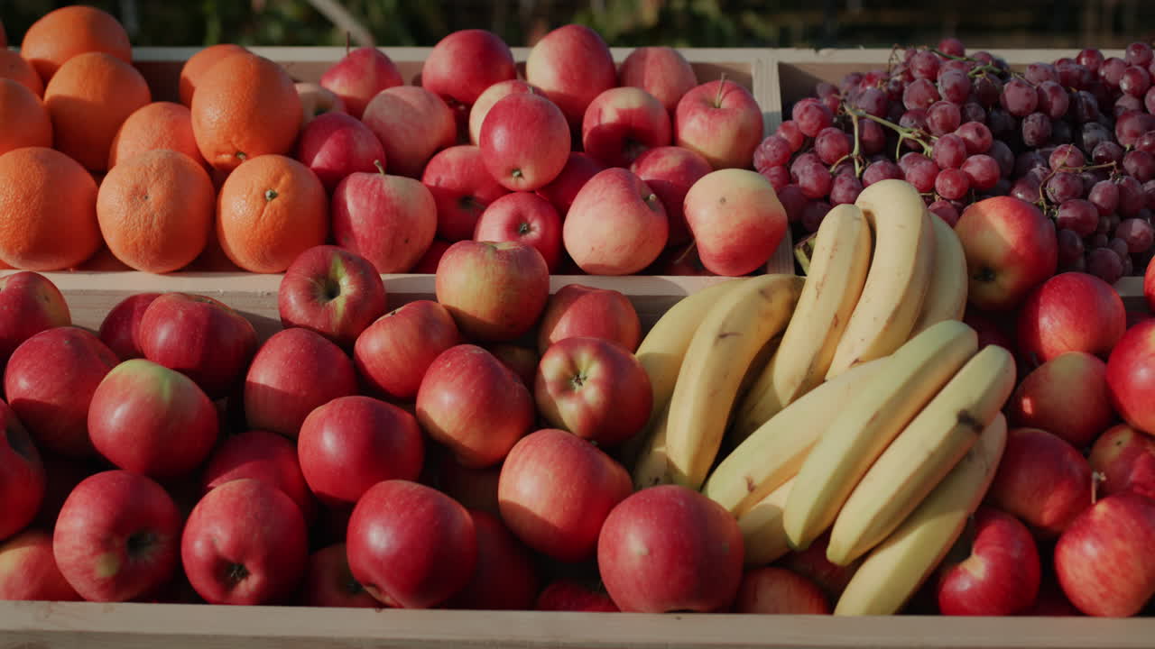 contador com maçãs laranjas e bananas 1