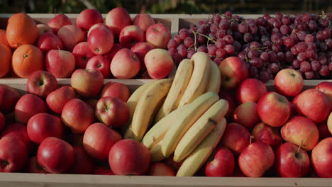 mostrador con manzanas, naranjas y plátanos 1