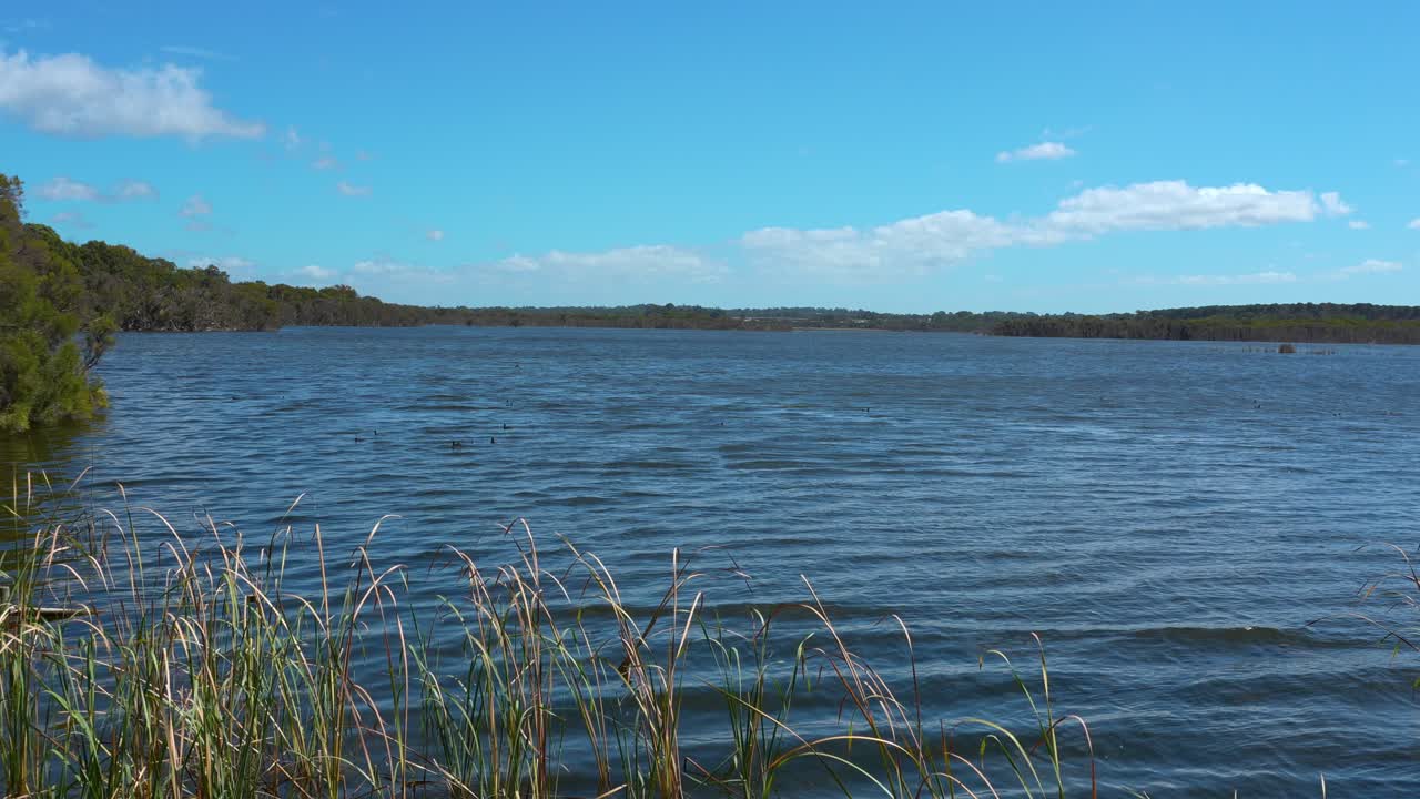 Lake Joondalup, Perth, Australien. Diese friedliche Szene zeigt eine weite Fläche von sich kräuselndem Wasser unter einem klaren blauen Himmel, umrahmt von üppiger Vegetation.