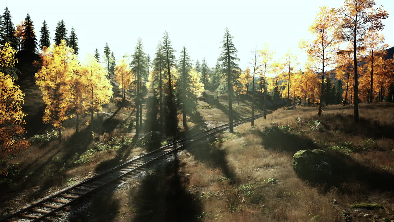 숲 속 의 가을 열차 트랙