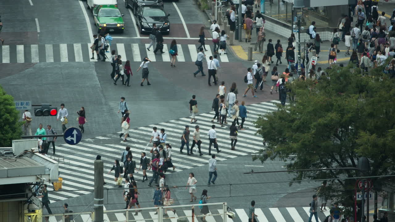 스크램블 교차로 전경 02