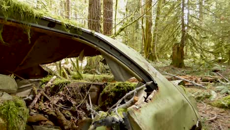 reveal of old car in rain forest