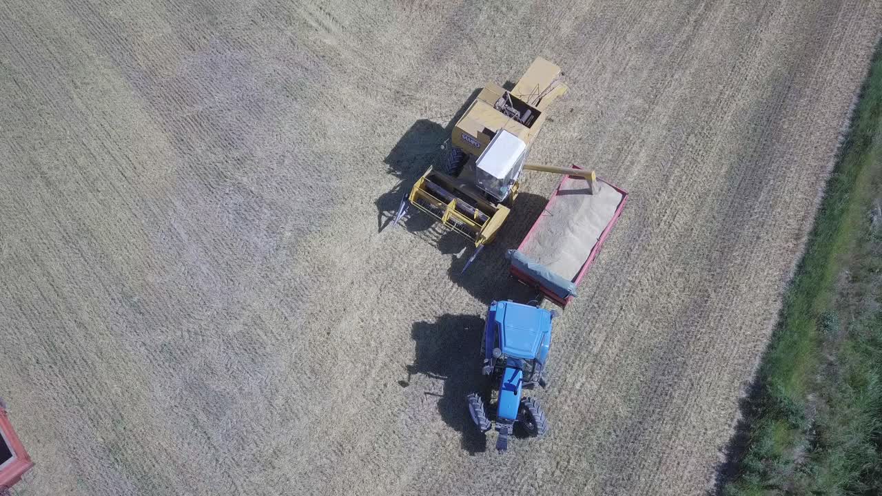 cosechadora que descarga grano, carro de remolque de tractor, vista aérea de arriba hacia abajo