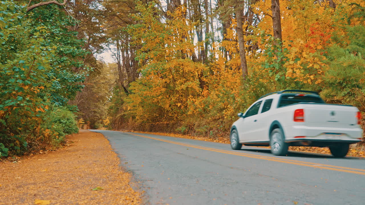 Auto bianca che guida su una strada panoramica attraverso una foresta autunnale.