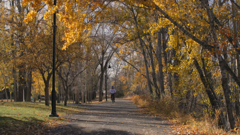 Front-view-of-young-Caucasian-man-riding-bicycle-in-the-park.-4k