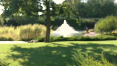 blurred nature and fountain.