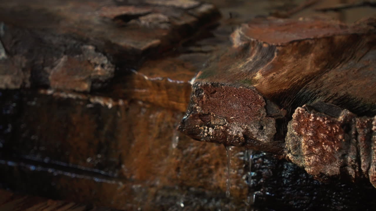 일본 온천에서 숲에 흐르는 온천수를 닫습니다