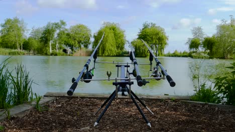tiro de lapso de tiempo del pez carpa tira de la caña de pescar mientras pesca en un lago del bosque - tiro estático