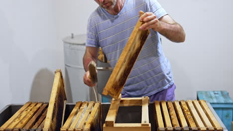 new harvest of honey. beekeeper removes excess beeswax with the scraper by hand. apiarist preparing frames with honeycomb for pumping honey on a farm.