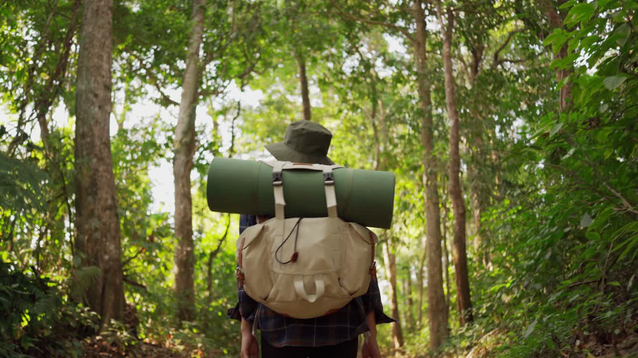 una mujer caminando en la selva de la selva tropical. vista trasera de una excursionista caminando con una mochila a través de la densa naturaleza de la bosque tropical en un día de verano, efecto sol.