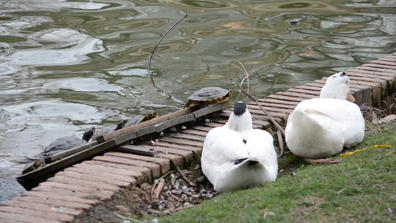 Il Parco del Buen Retiro. Madrid