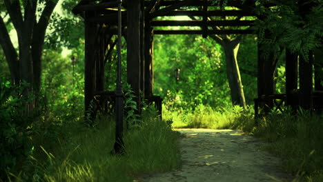 serene pathway beneath wooden archways in a lush green forest