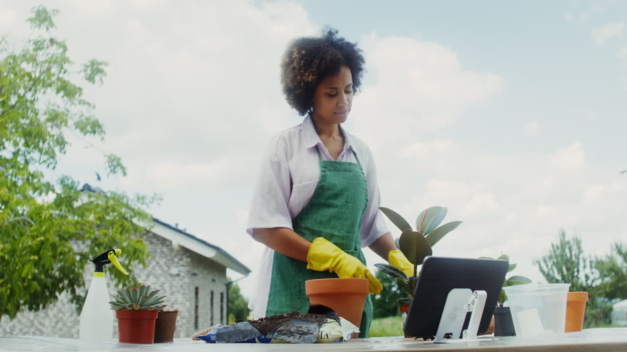 Mulher cuidando de plantas de interior