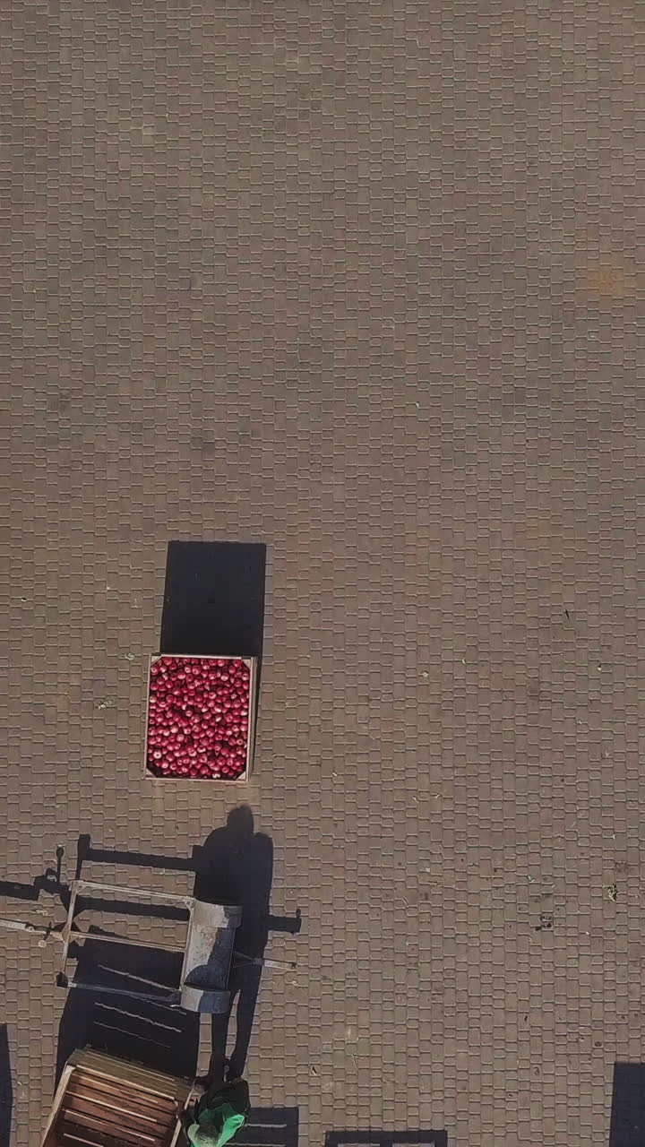 harvest of apples, small loaders, forklift trucks, machines load, put large wooden boxes full of apples on top of each other. top view, aero video. Vertical video