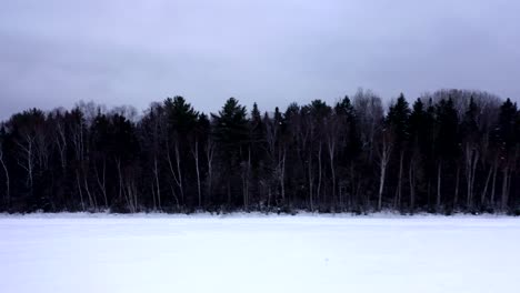 drone starting at ground level and moving up on a forest and revealing the saint-lawrence river in winter