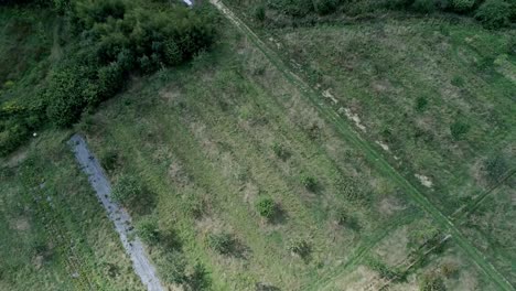 Weitwinkelaufnahme-Aus-Der-Luft-über-Einem-Unauffälligen-Obstgarten,-Während-Die-Sonne-Hinter-Einigen-Wolken-Verschwindet