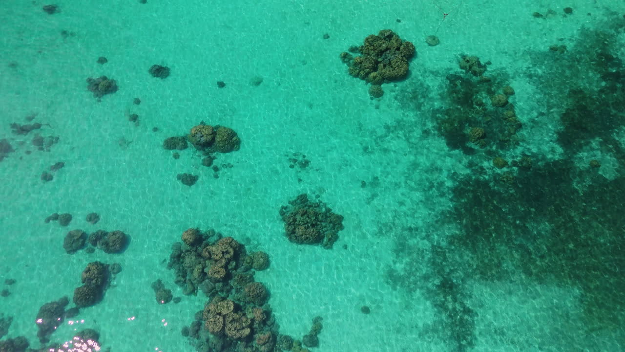 Turquoise Waters with Coral Reefs