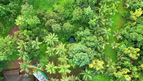 Un-Bien-Construido-De-Piedra-En-Medio-De-árboles-Verdes-En-El-Bosque-A-Vista-De-Pájaro-De-Primer-Plano