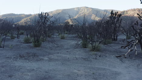 aftermath of a wildfire: devastated landscape and mountain scenery