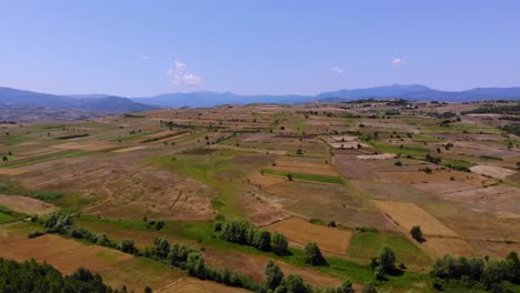 Countryside-beautiful-landscape-with-golden-wheat-plots-and-green-meadows-on-a-summer-sunny-day-Europe