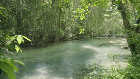 Magnífica-Toma-Panorámica-De-Una-Jungla-Con-Agua-Corriendo-A-Través-De-Vegetación-Verde