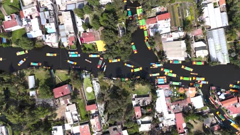 navegando por los serenos canales de xochimilco en medio del bullicio de cdmx