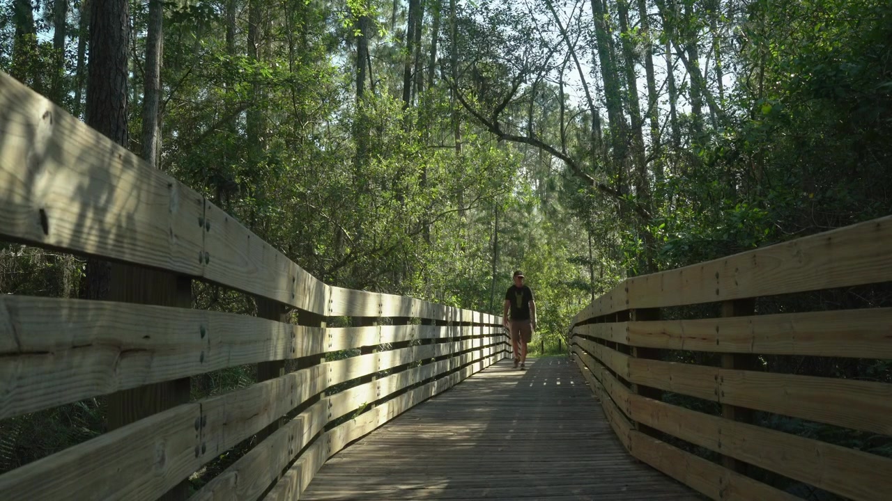 Parco statale Lake Louisa, Clermont, Florida. Ponte pedonale sul sentiero della palude verso la spiaggia. Un uomo cammina lungo il ponte, verso la telecamera