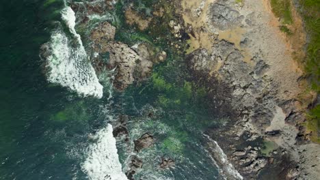 Overhead-aerial-view-of-the-Searose-Beach-in-Florence,-Oregon