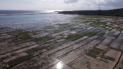 drone footage in indonesia of a working seaweed farm