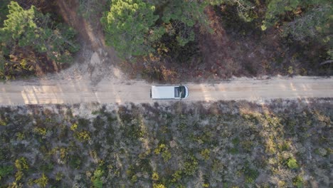 campervan-driving-along-a-sandy-road-in-Nazare-with-tall-trees-lining-one-side-of-the-road