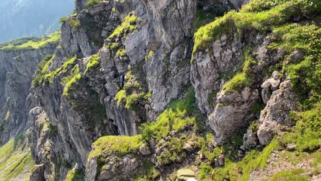 hombre escalando en el acantilado de la montaña rocosa con hierba verde exuberante en un día soleado de verano en la ruta vía ferrata, kanzelwand, austria